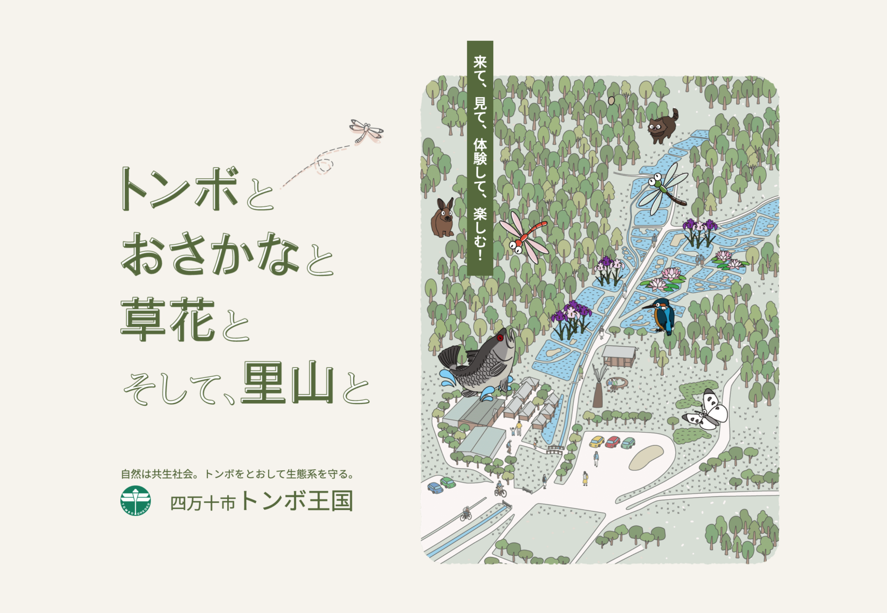 四万十市トンボ王国